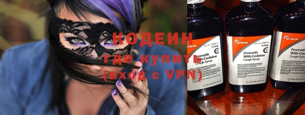 амф Вяземский