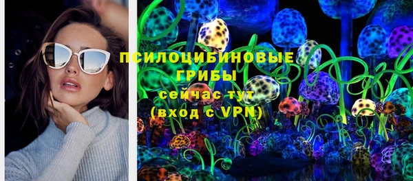 МДПВ Вязьма