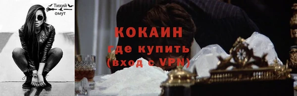 амф Вяземский