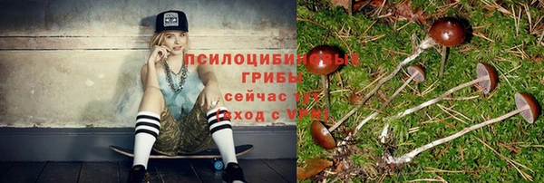 а пвп мука Горняк