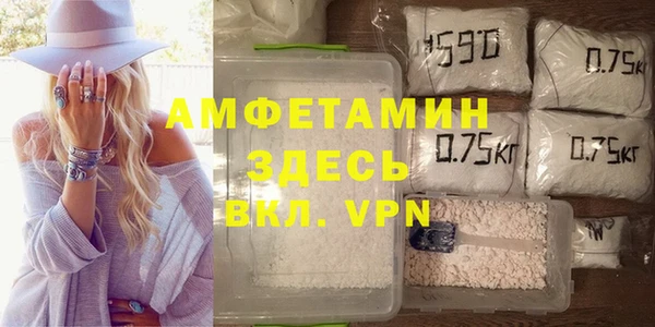 амф Вяземский