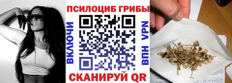 Купить где  Байкальск  Псилоцибиновые грибы Psilocybine cubensis 